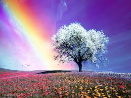 images (37)